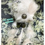 *Lupi*
光沢ある長めのシルバーホワイト。
素敵な花柄生地を合わせました🤍
おめめのボタンも素敵なのー